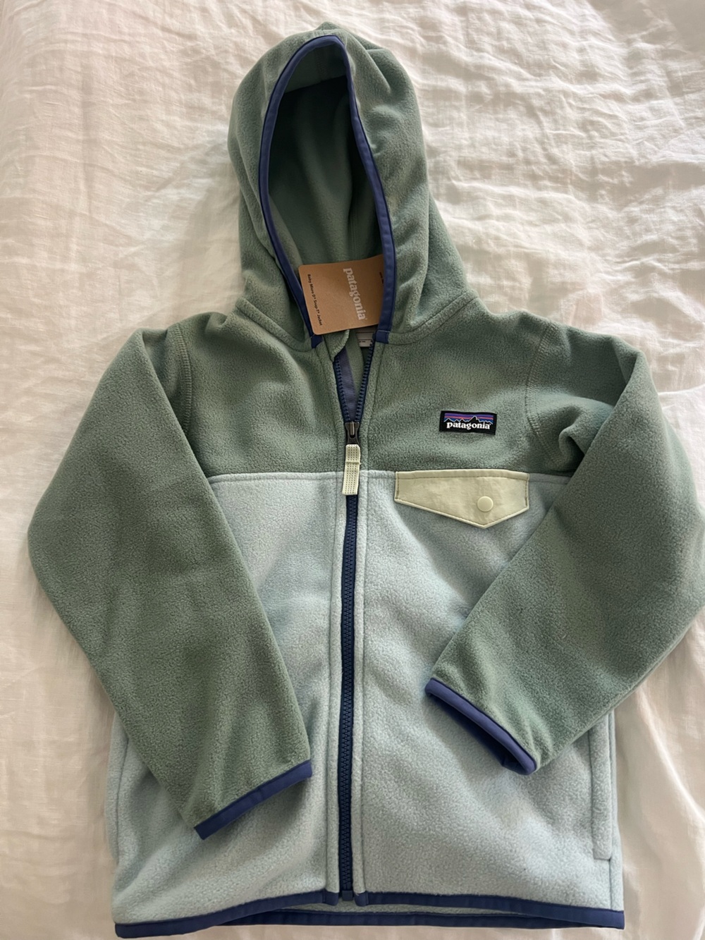 Toddler Patagonia Micro D Fleece Zip Up